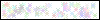 Auth Image